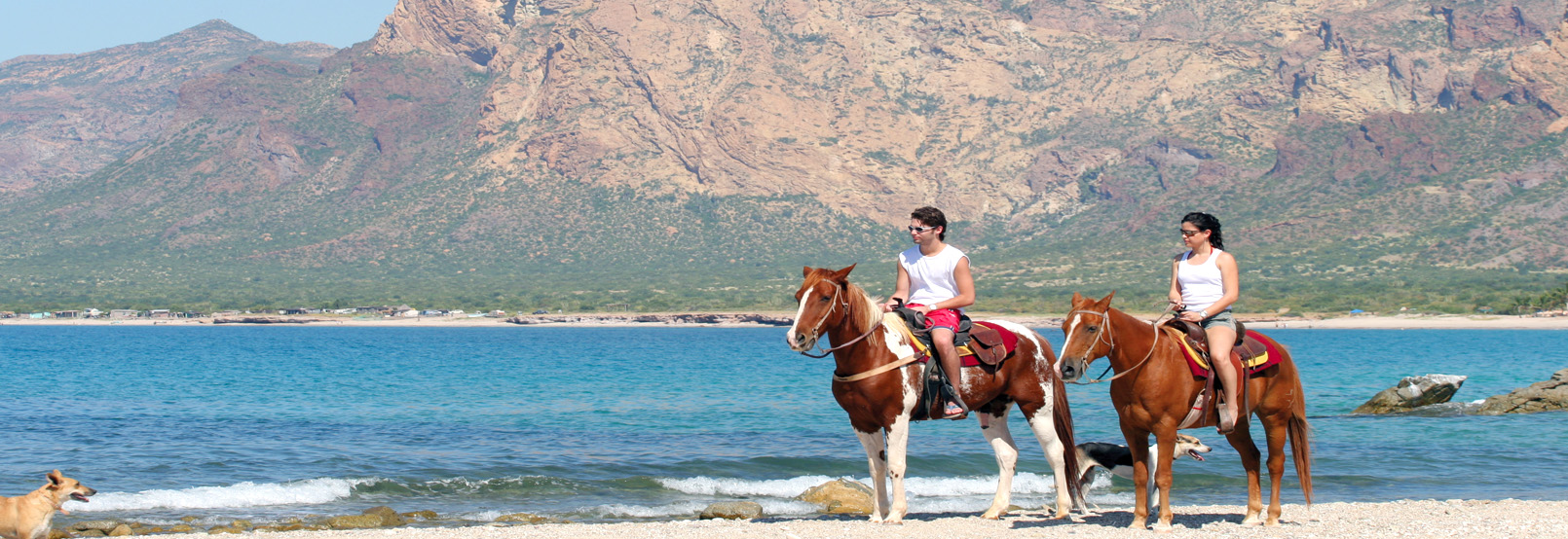 Aventura y Ecoturismo en san-carlos